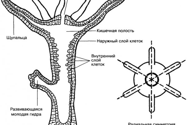 Кракен наркошоп сайт