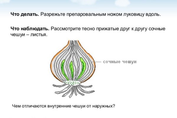 Кракен сайт официальный зеркало