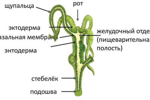 Маркетплейс кракен